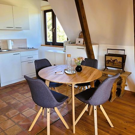 Landhaus Am Kurpark Baden Ngoại thất bức ảnh