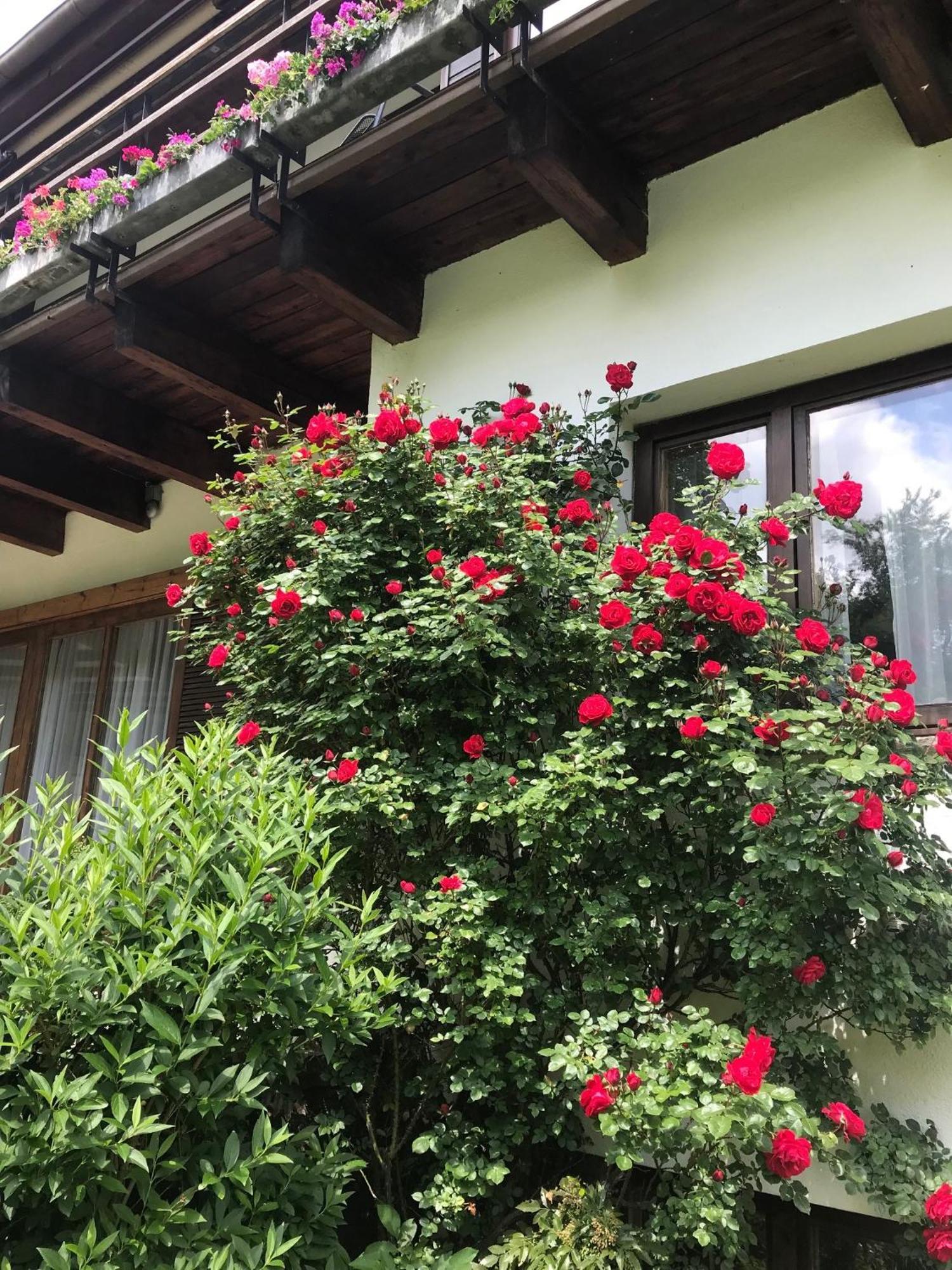 Landhaus Am Kurpark Baden Ngoại thất bức ảnh